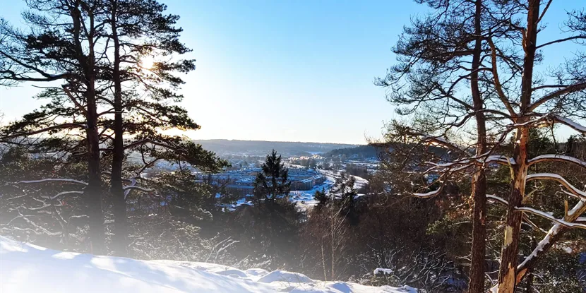 Mölndal: En växande businessstad med starka näringar