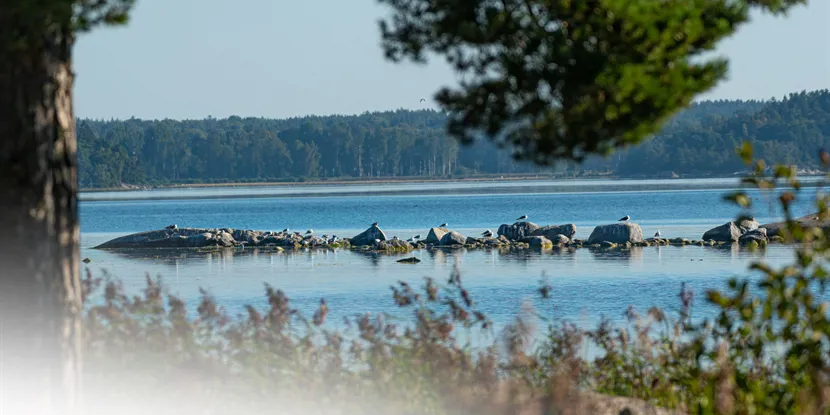 Haninge: Allt du behöver veta