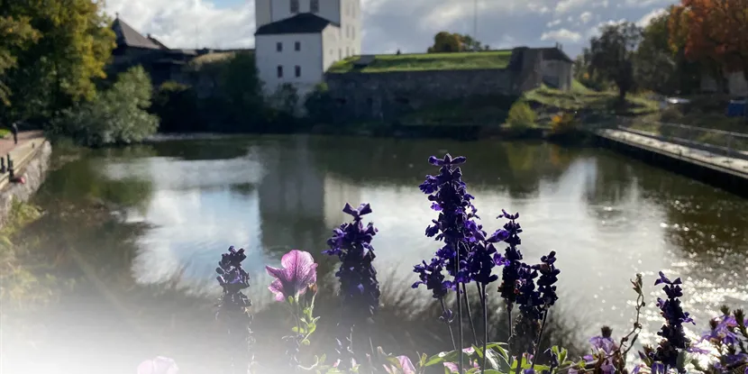 De största företagen och butikerna i Huddinge: En djupdykning