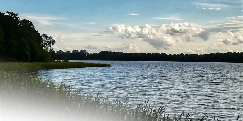 De största företagen och butikerna i Gävle