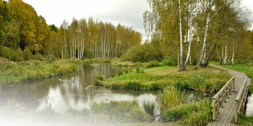 Så lyckas du med din business i Huddinge
