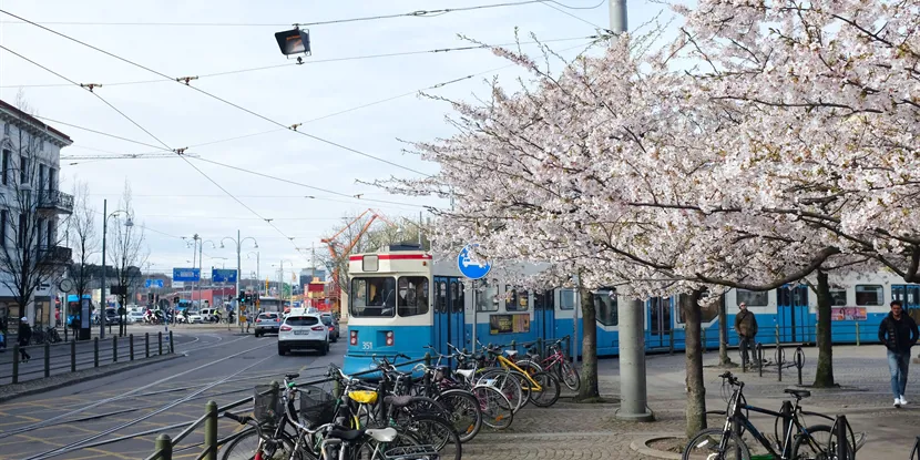 Göteborgs näringsliv: En stark bas för tillväxt