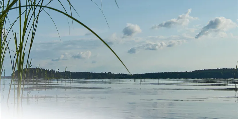 Karlskoga: En stad med framtiden för sig