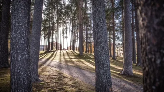 Gewerbeflächen zur Miete in Lycksele - Foto 3